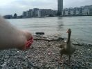 20090806_134729