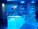20100104_200543