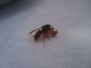 20110725_065346